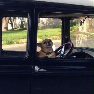 Meet your Posher, Jodi